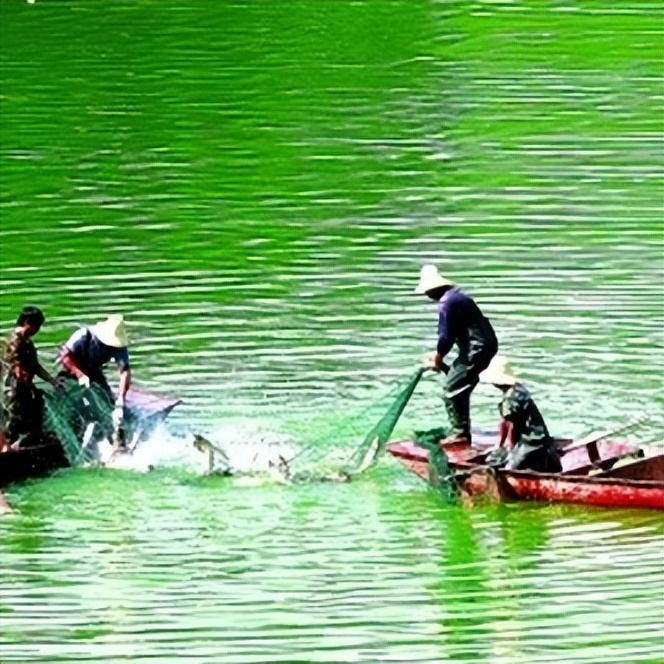 市面上大部分二氧化氯都是假的,如何鉴定二氧化氯