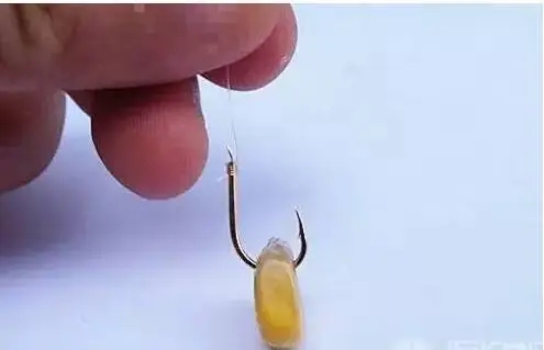 钓草鱼玉米挂钩的正确挂法,玉米钓鲤鱼挂钩正确方法图片