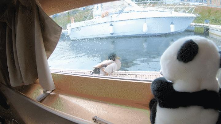 中国小伙的航海日记（十二）法国诺曼底，“蚝中之王”竟如此便宜