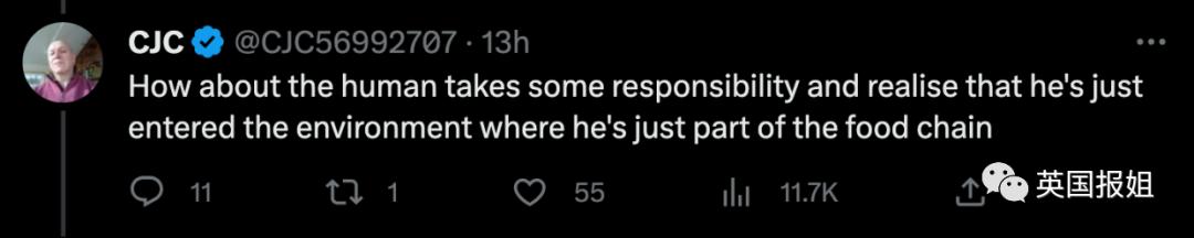 俄罗斯男子在海边被鲨鱼咬死,俄罗斯男子被鲨鱼咬死鲨鱼被捕