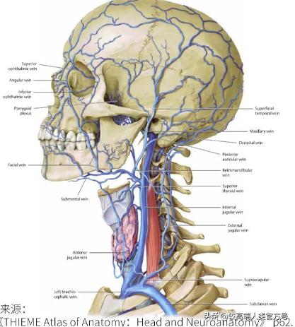 这些危险驾驶行为千万别做,危险动作最好不要再做了