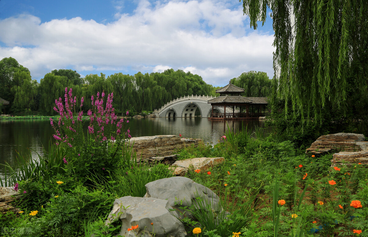 津北森林公园怎么样值得去吗,天津新晋森林主题公园