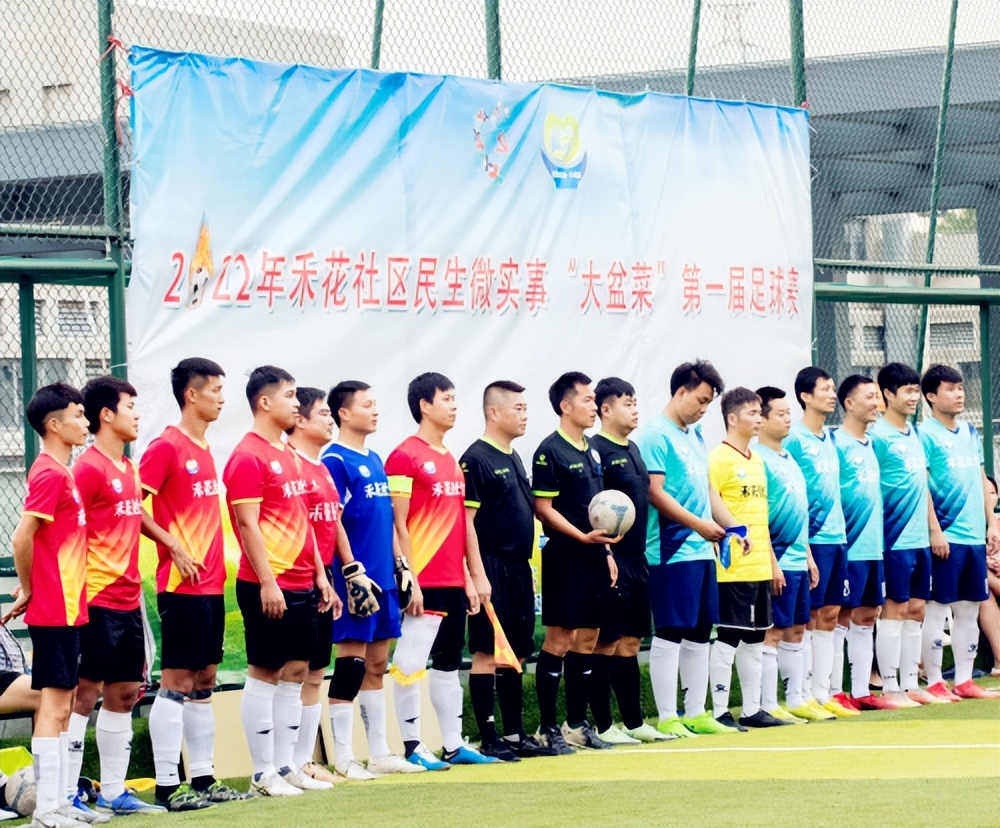 楼顶天台改造成菜园,楼顶改造成为大型生态农场