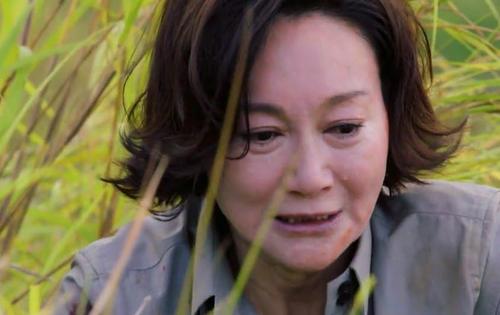 tvb和内地剧十年前对比,tvb曾经创造过港剧的辉煌时代