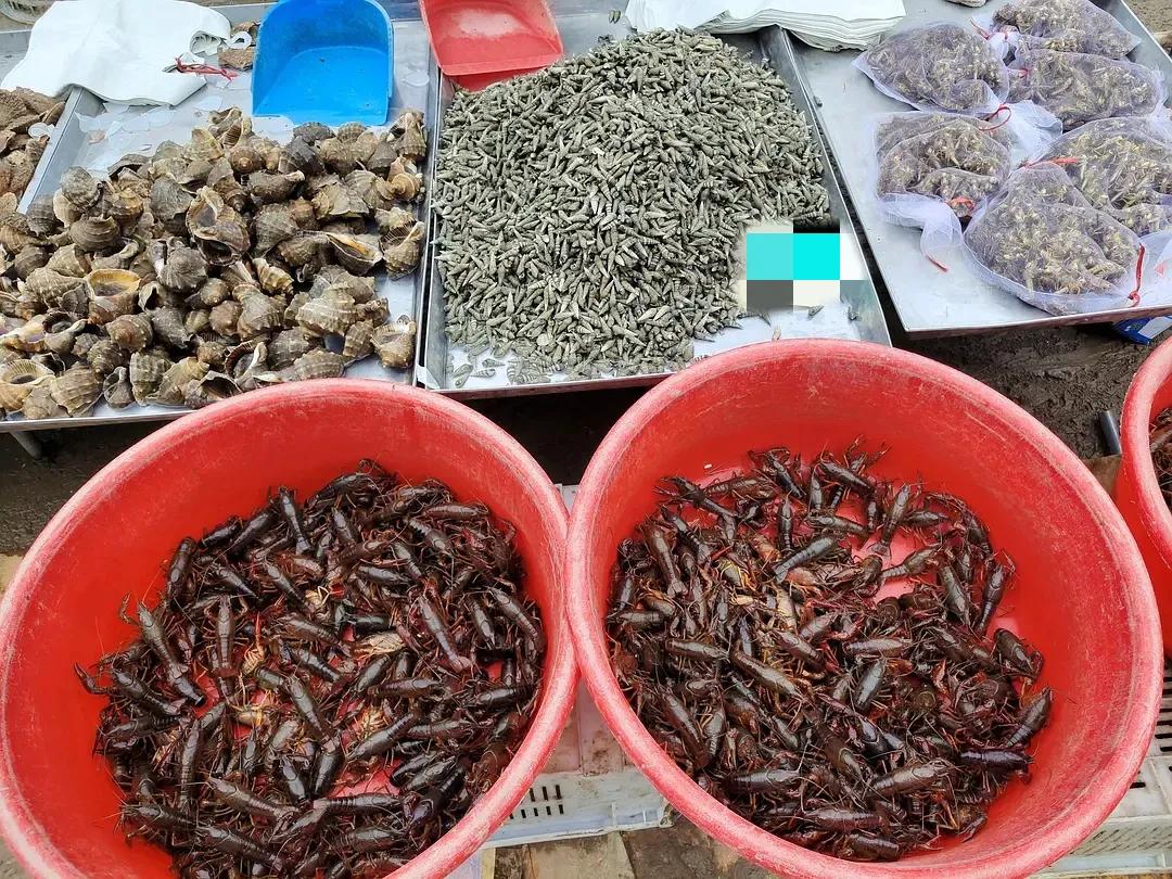 烟台水果物价,烟台地区最新的水果价格