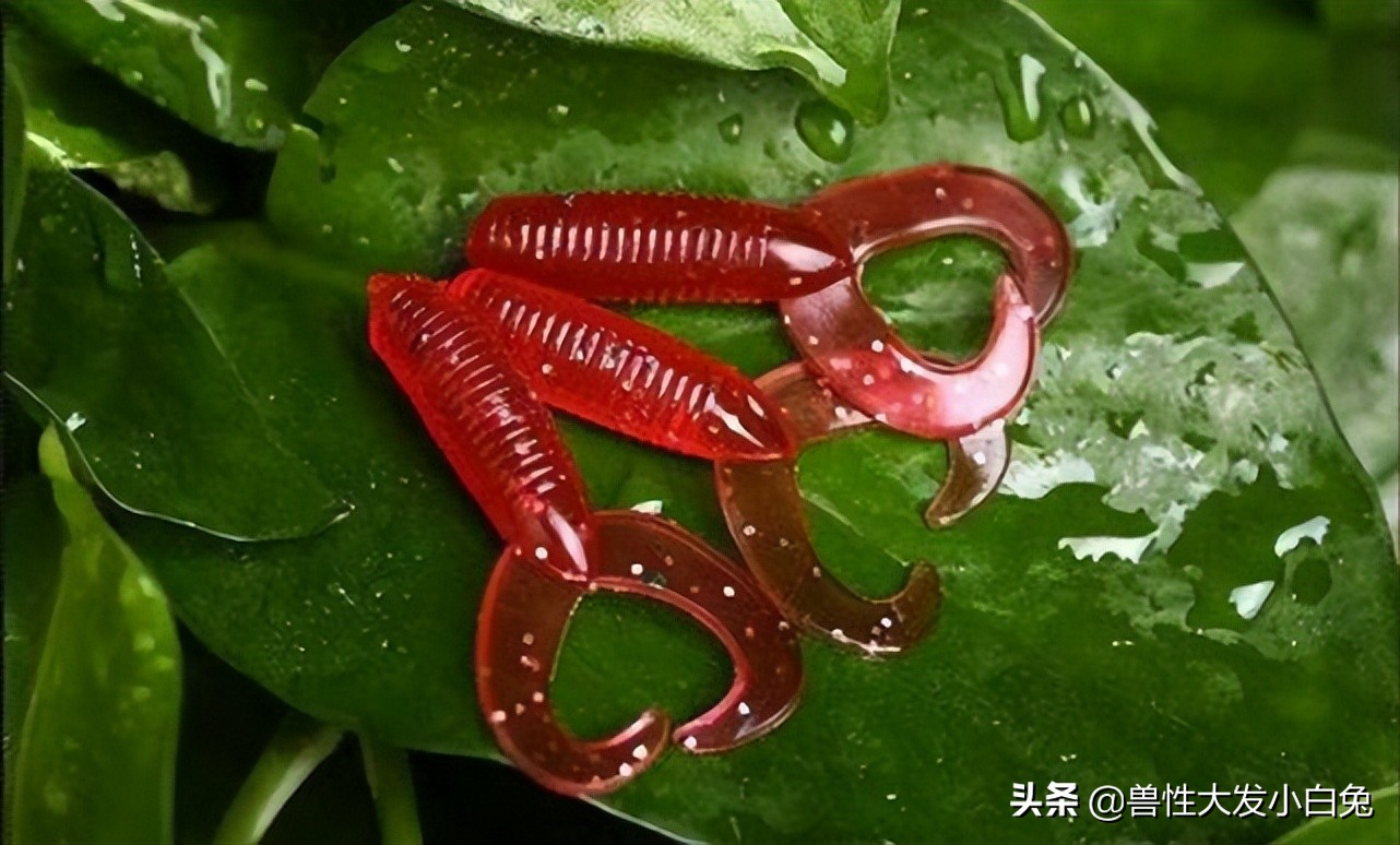 胡须佬路亚饵,路亚必备假饵