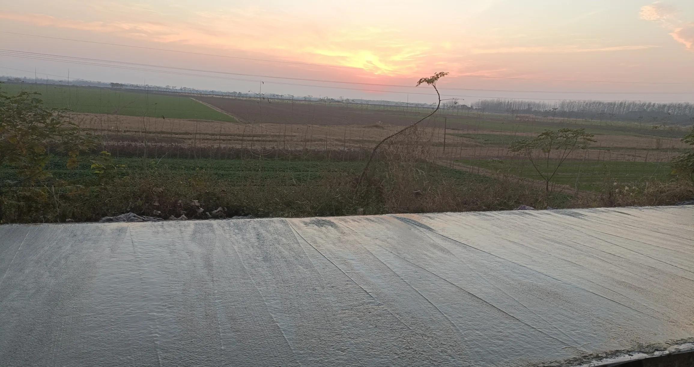 98年特大洪水没守住会怎么样,98年洪水主要救哪里