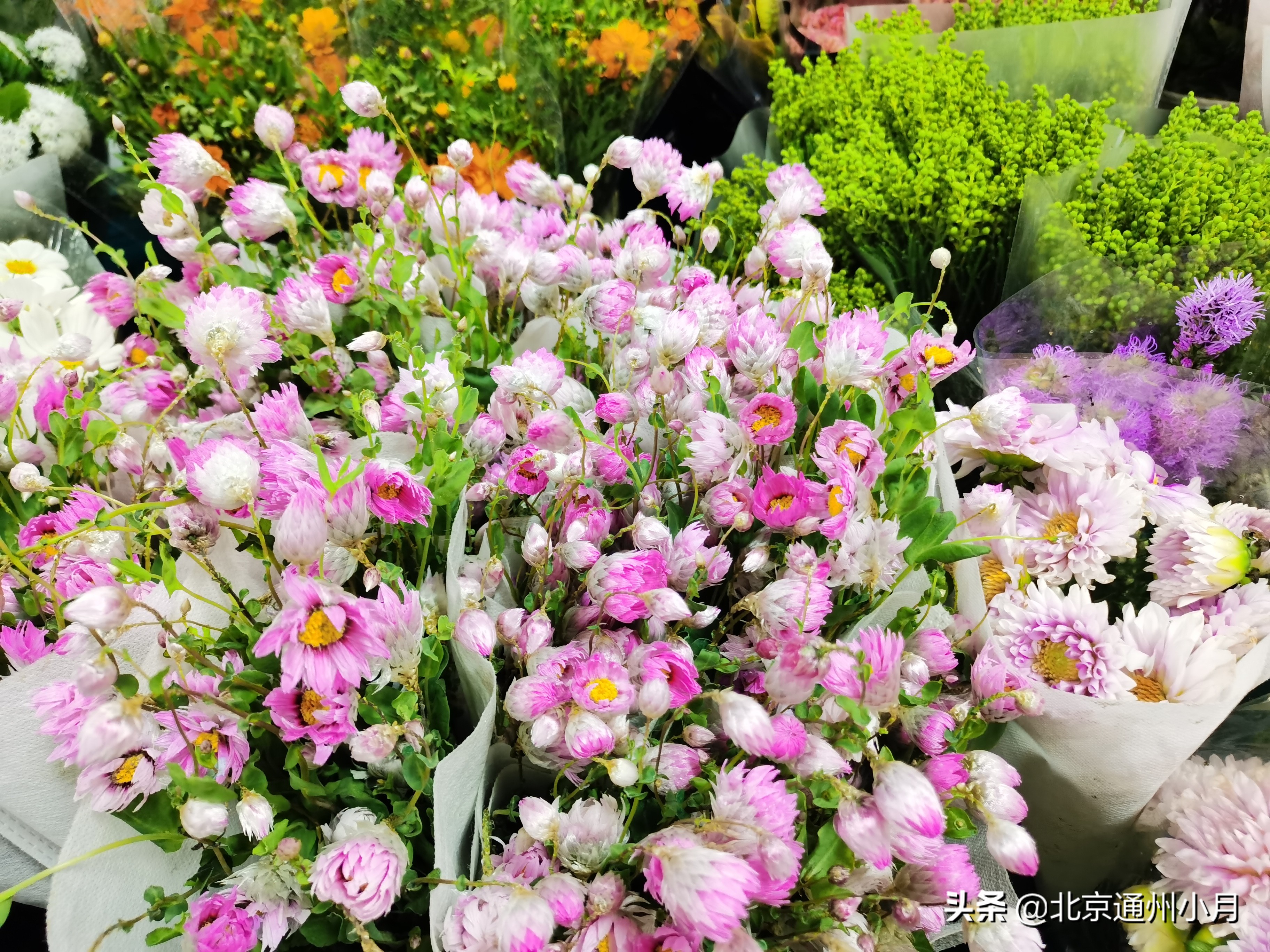 北京周边大型花市,北京花市推荐