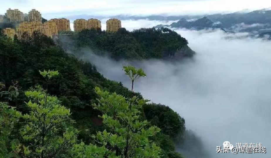 苏马荡各小区点评,苏马荡最好小区排名