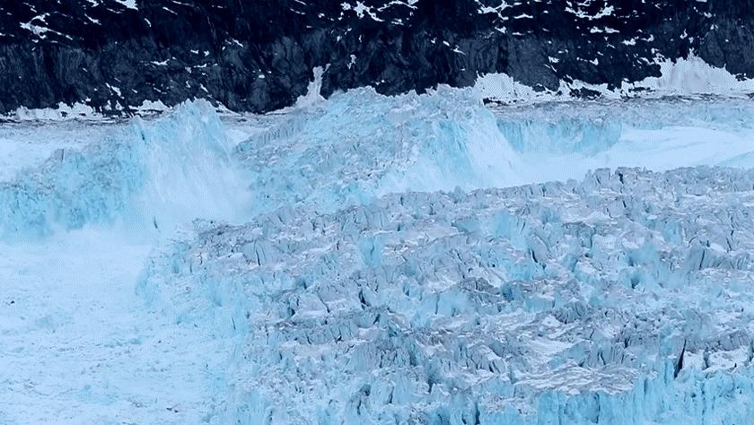 南极发现远古病毒人类如何应对,北极新发现了远古病毒吗