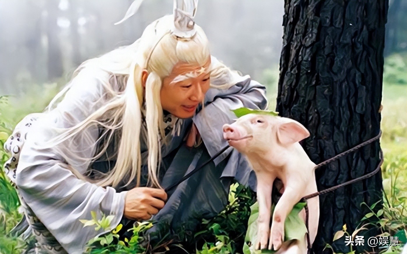 演员孙兴涉毒判了多少年,演员孙兴涉毒判多久