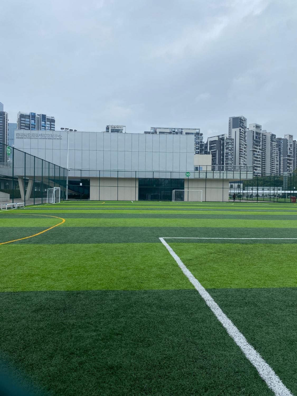深圳湾体育场足球场开放吗,深圳体育中心专业足球场