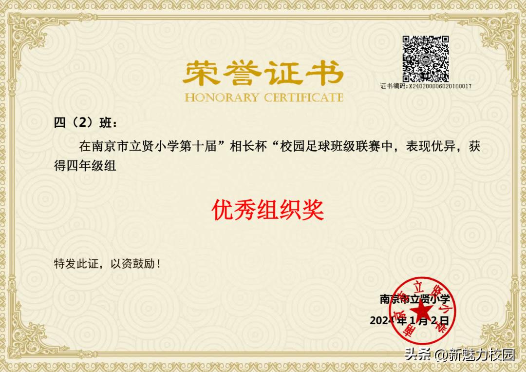 南京市晓庄小学校园足球联赛,区长杯小学校园足球联赛