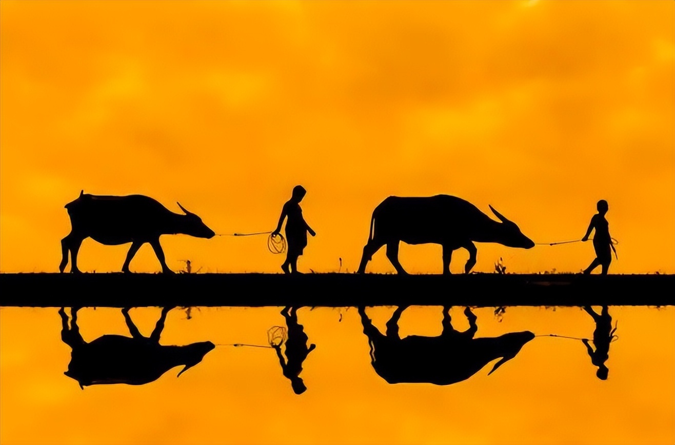 脑梗发病怎么吃牛黄丸,中风救命丸