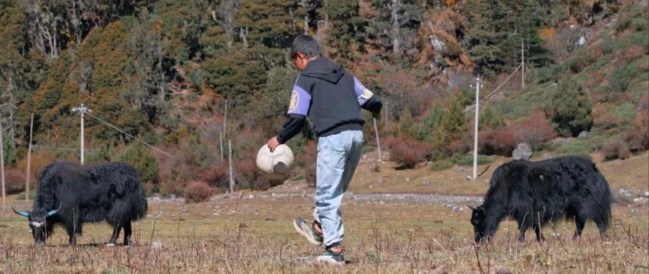 坚持17年，数学老师带着足球小将们上场、寻梦