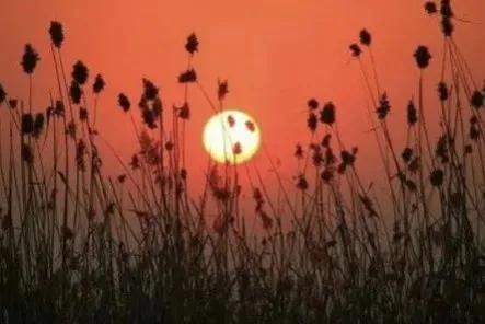 和字的解读,和字原意