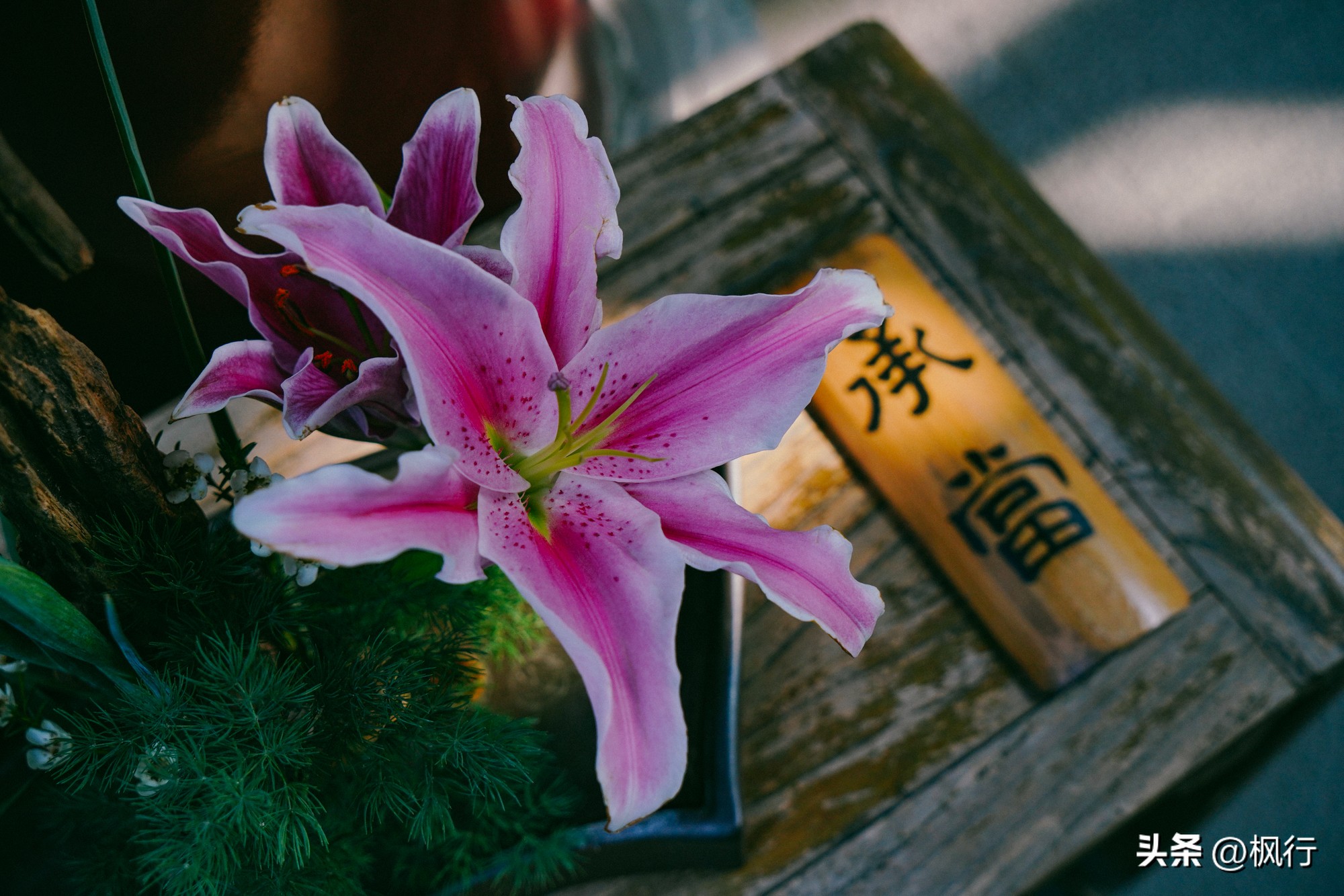 成都文殊院素斋5元一份,文殊院川西四大古刹