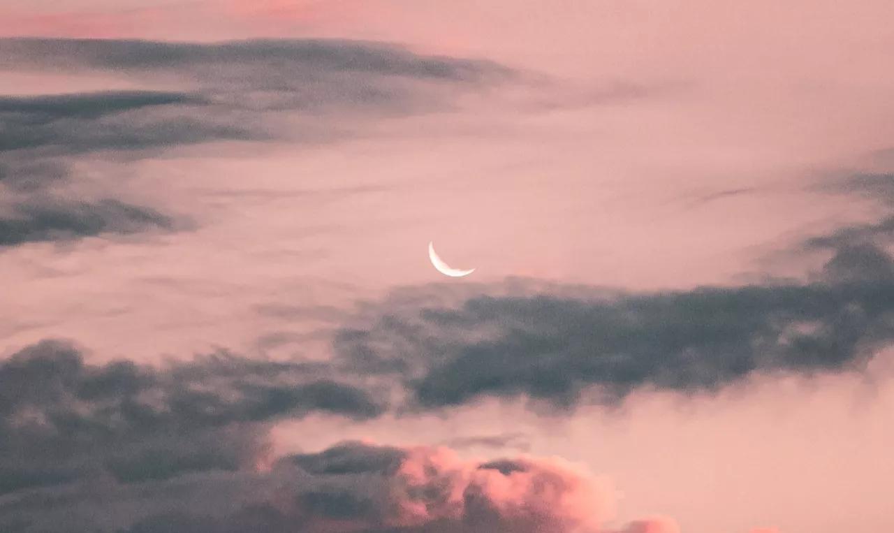 中秋好物爆款榜 (中秋好物推荐分享)