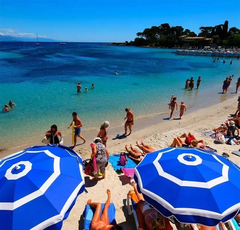 法国人下雨不用雨伞吗,为什么外国人下雨不打伞