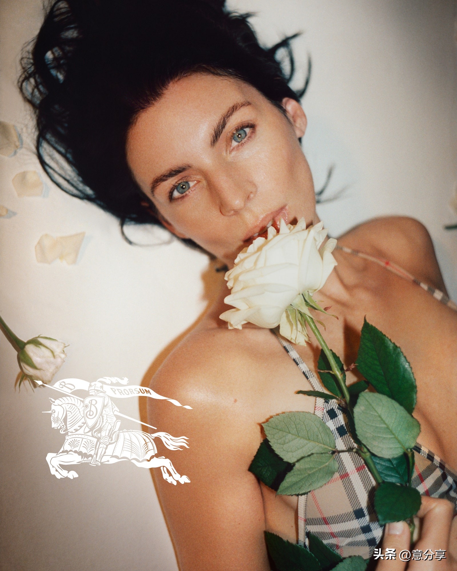 burberry2019广告,burberry高清广告