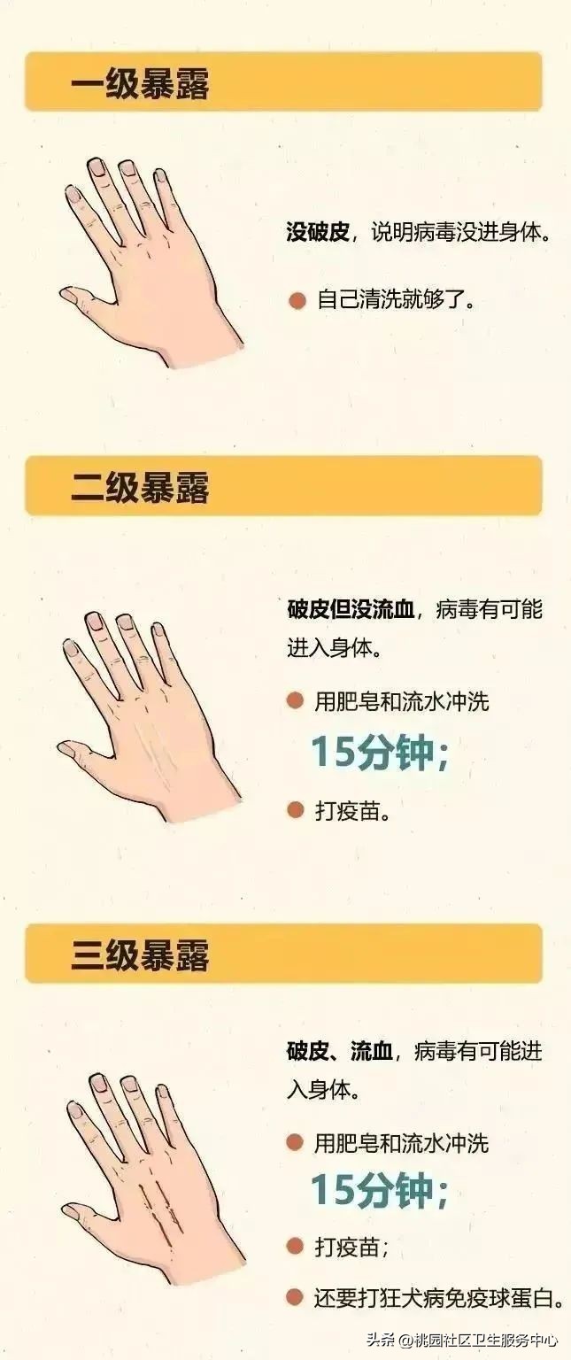 疫苗科普类宣传视频,接种狂犬疫苗科普视频