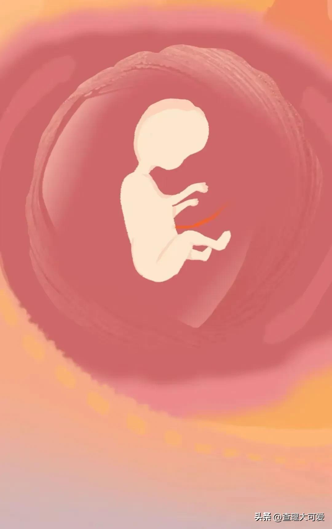 小蝌蚪找妈妈故事完整漫画,小蝌蚪漫画