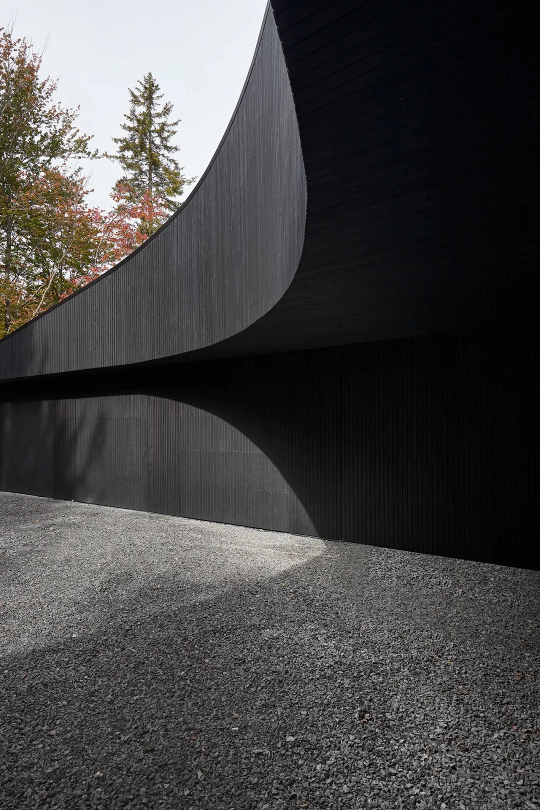 他们把家搬到了森林里，一间森林