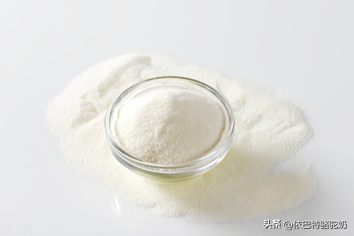 为什么驼奶粉保质期短,正宗驼奶粉一招轻松辨真假