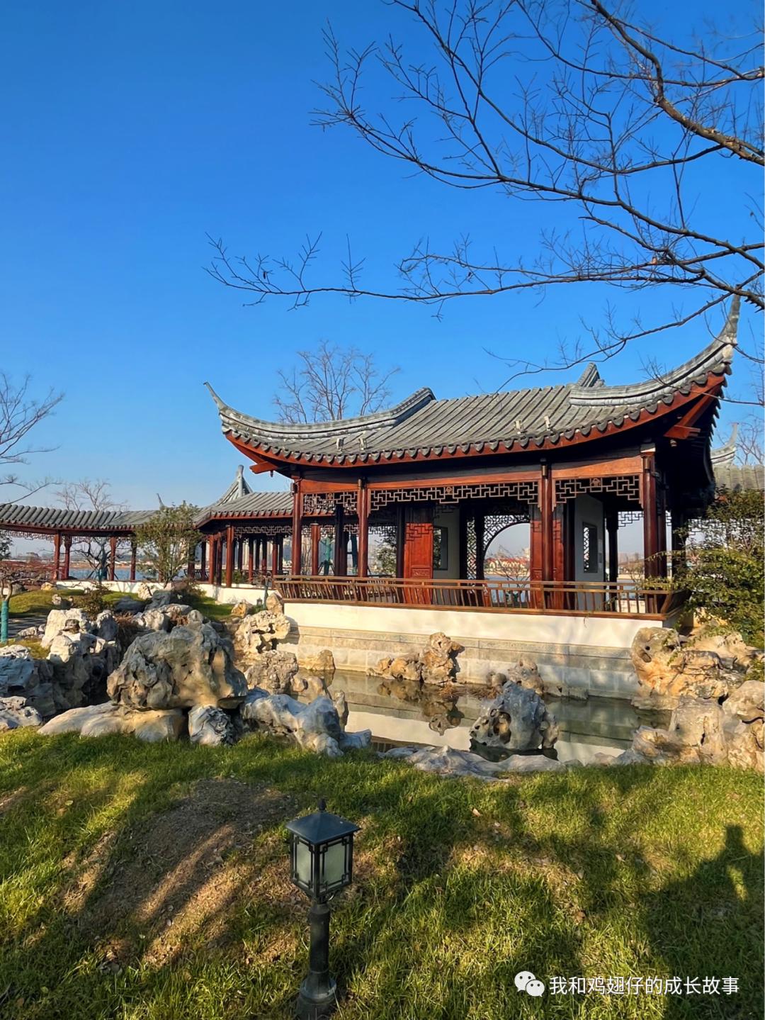 爱美丽推荐打卡第76|合肥必打卡|草坪+湖泊+游乐园+萌宠市集+花海