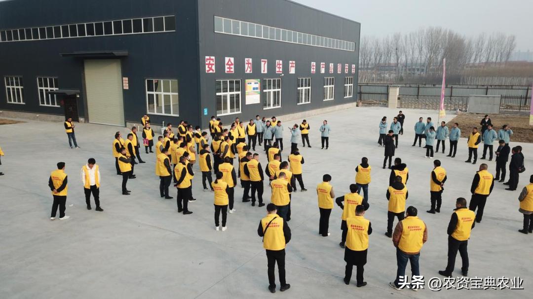 黄金棒819玉米种介绍,玉米种黄金棒918