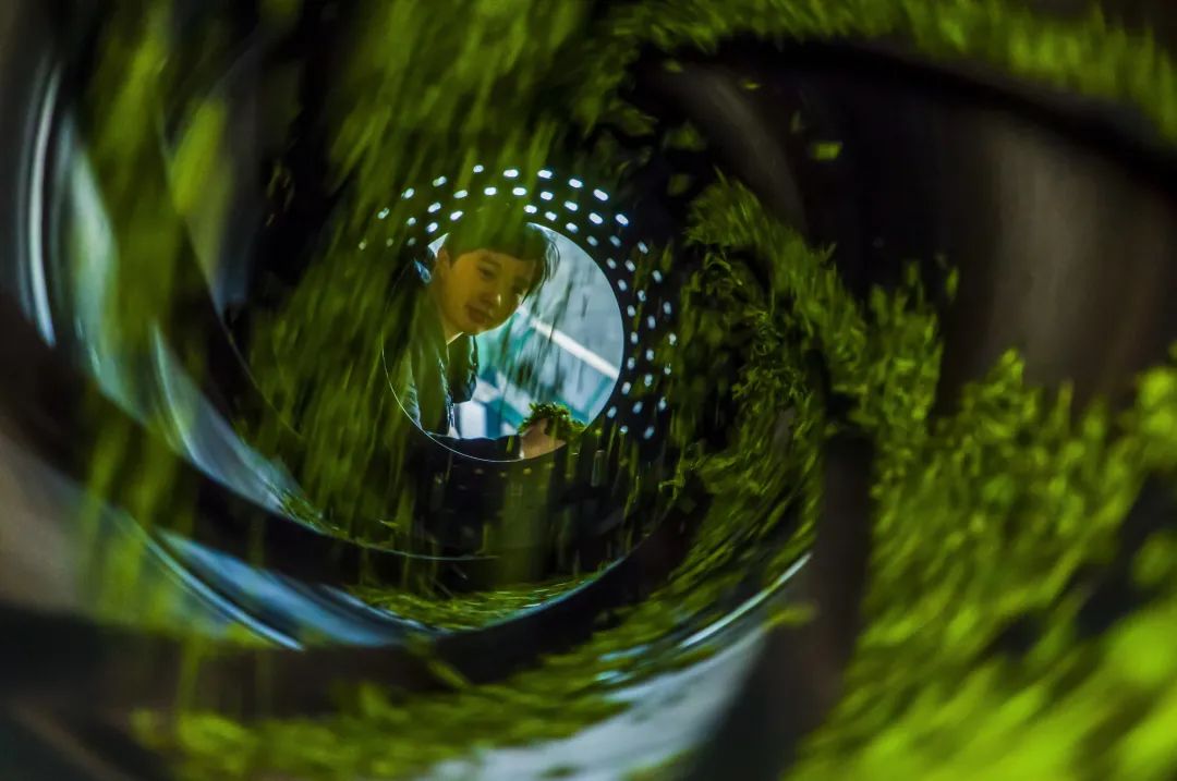 恩施硒茶品牌整合,恩施硒茶功效与作用