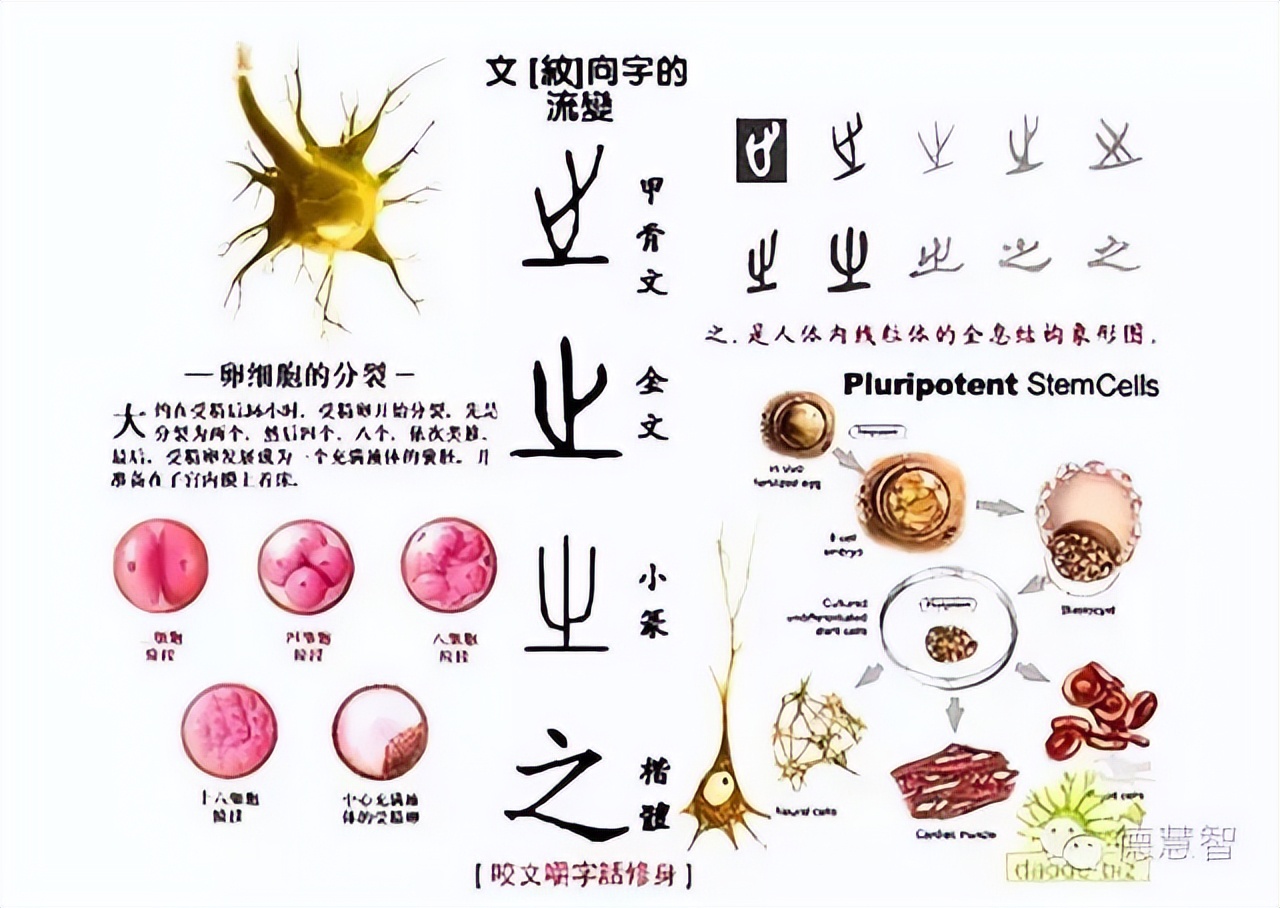 之乎者也古代读音,之乎者也书法作品