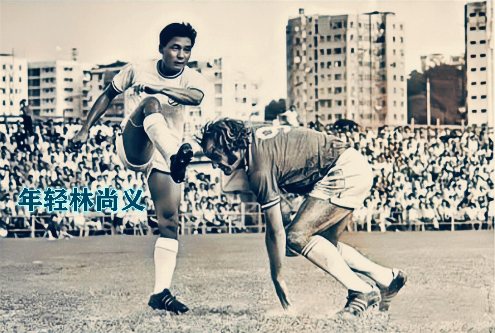 重炮牧师林尚义,林尚义是古惑仔吗