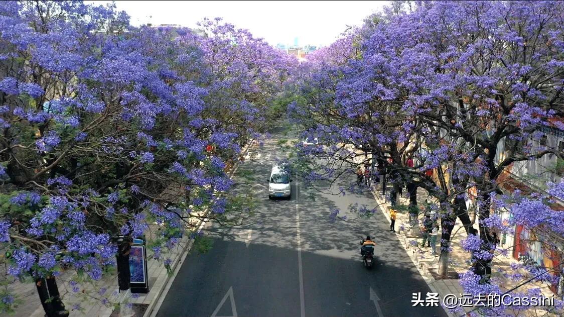 两个重大危险源的安全距离是多少,中国两大风险城市有哪些