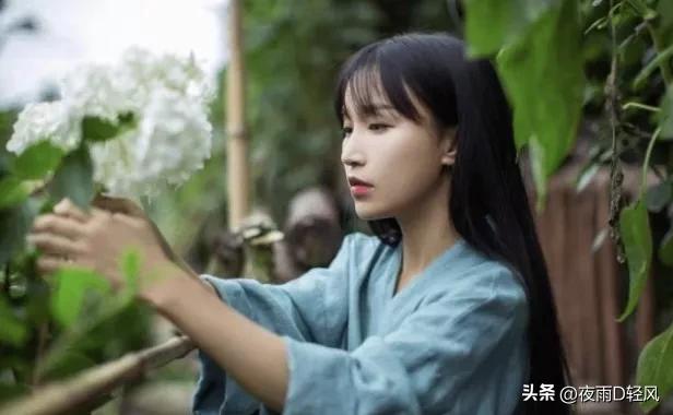 李子柒还能复出嘛,李子柒复出还能东山再起吗