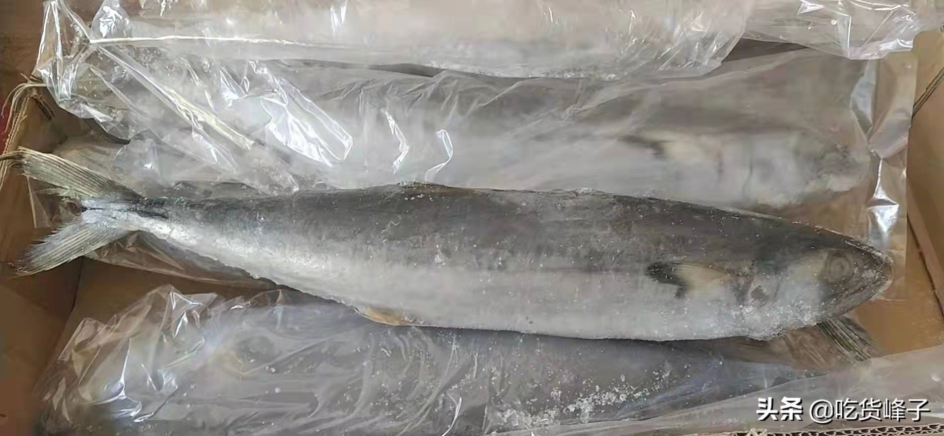 过年宅家吃什么东西,过年宅家物品