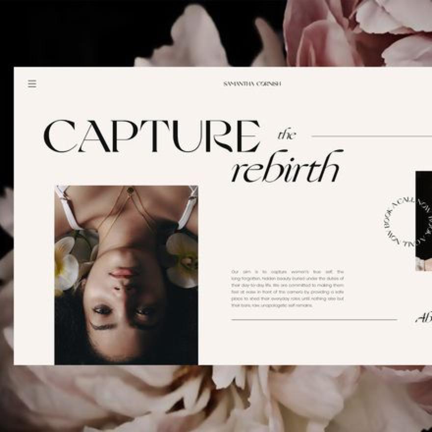 简要说明网站整体风格的设计技巧,网站界面版式设计赏析