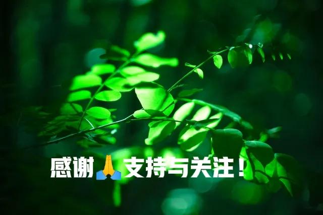 家具线上和线下有什么区别,同品牌家具线上线下区别