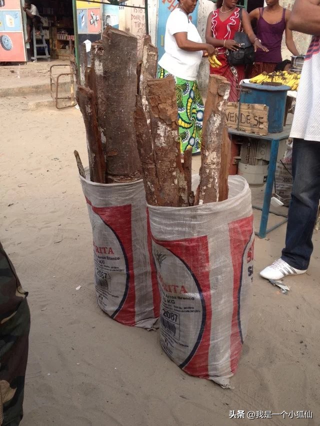 安哥拉树皮小故事,安哥拉那些事儿