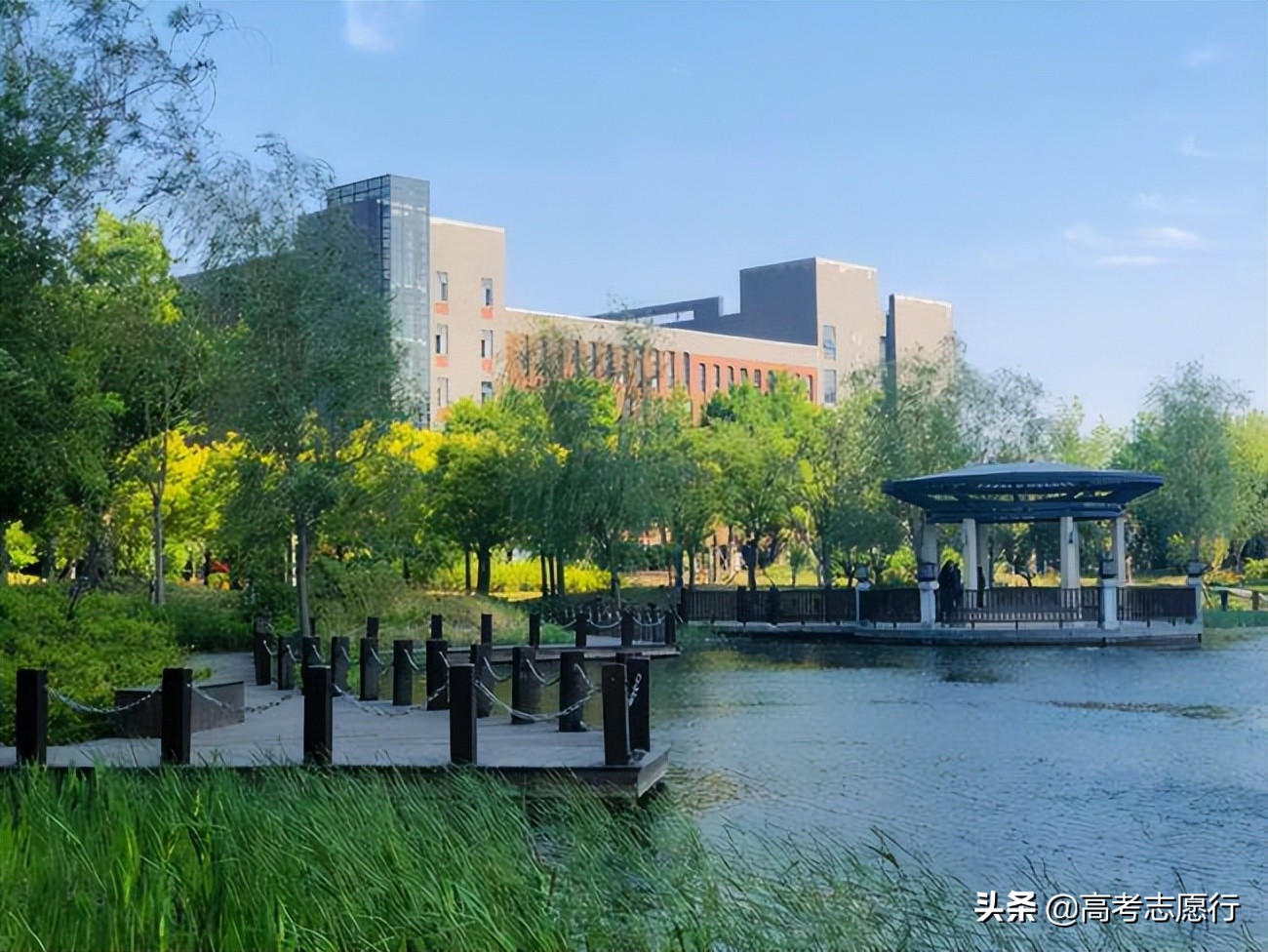 唯二的“财经政法”大学，1所录取分数稍低，报考性价比高