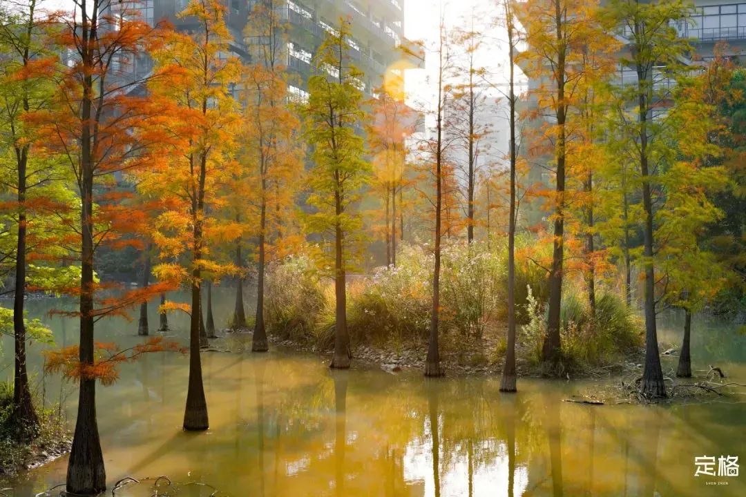 深圳一日游必去的地方,深圳吃货必去的地方