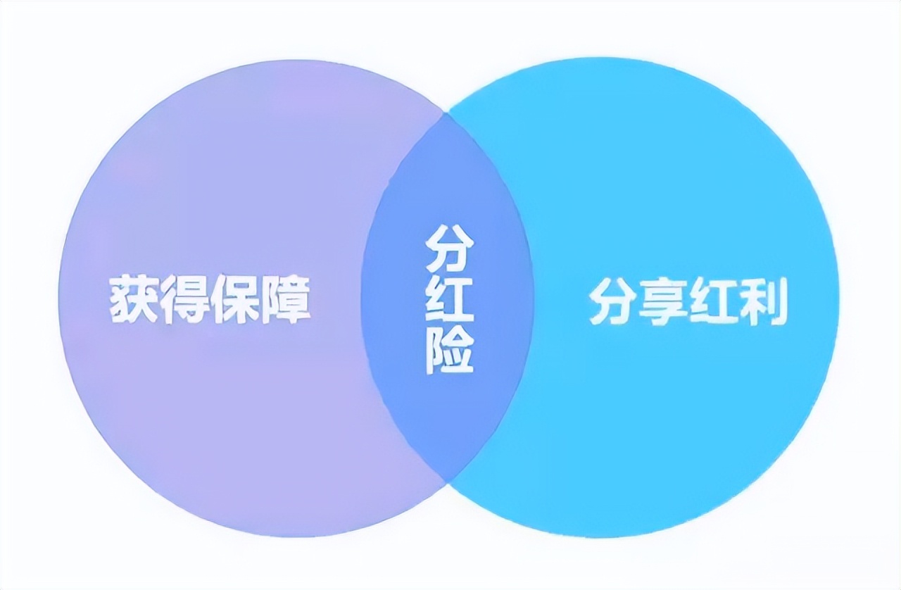 银行存款利率2024最高利率,最新香港储蓄险50%回报率