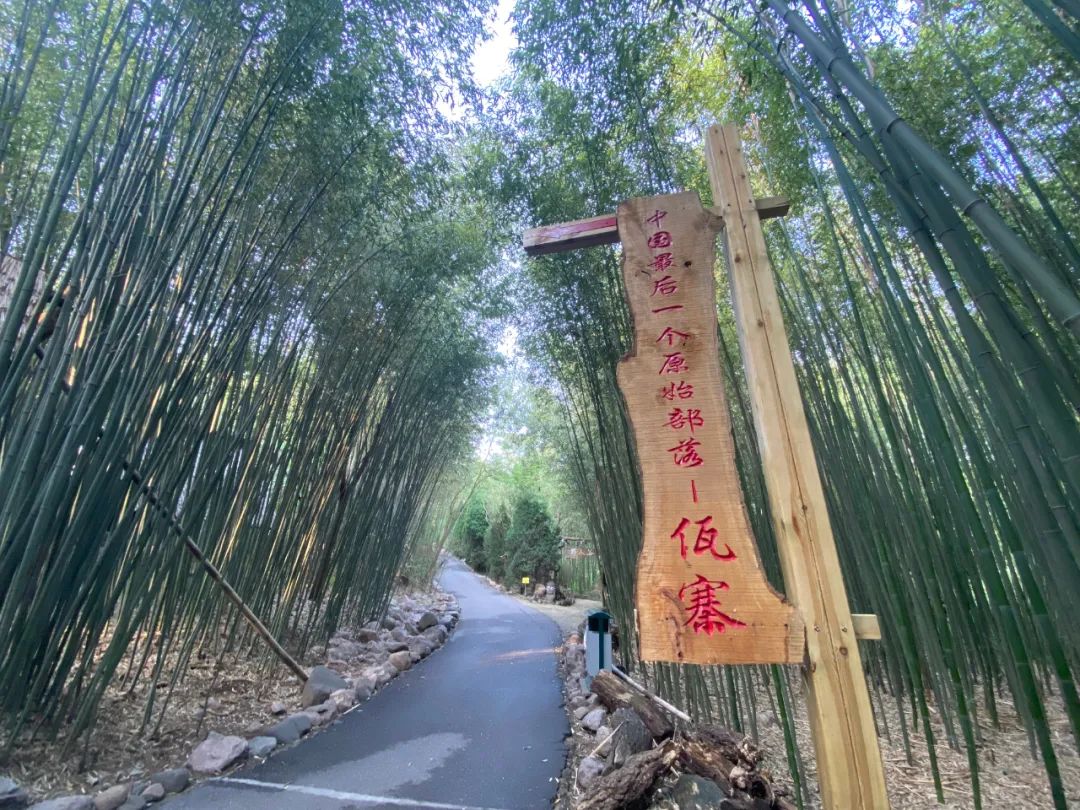 逛吃逛吃歌曲,逛吃逛吃