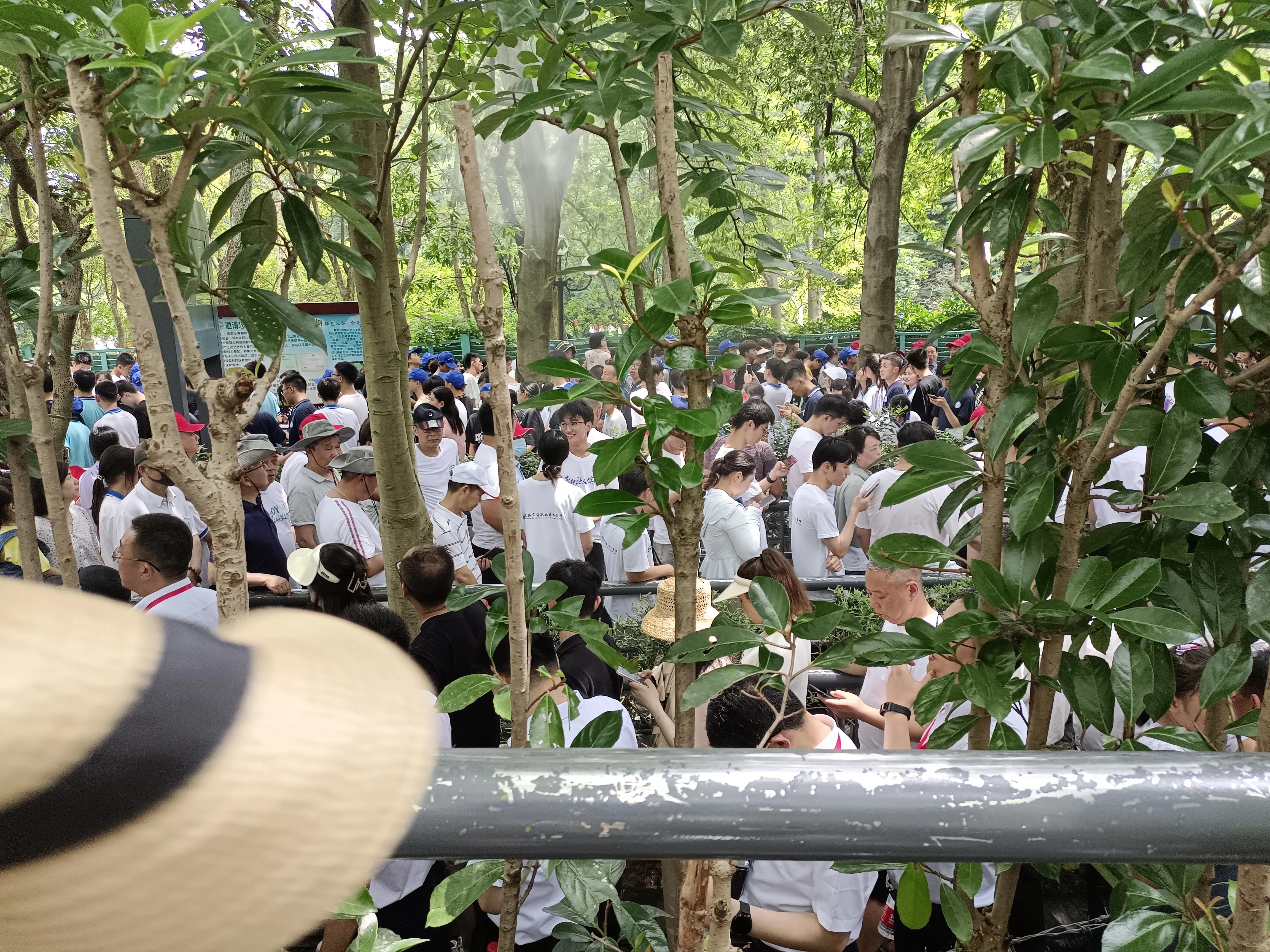 韶山一代伟人故乡,十年前韶山之行的回忆