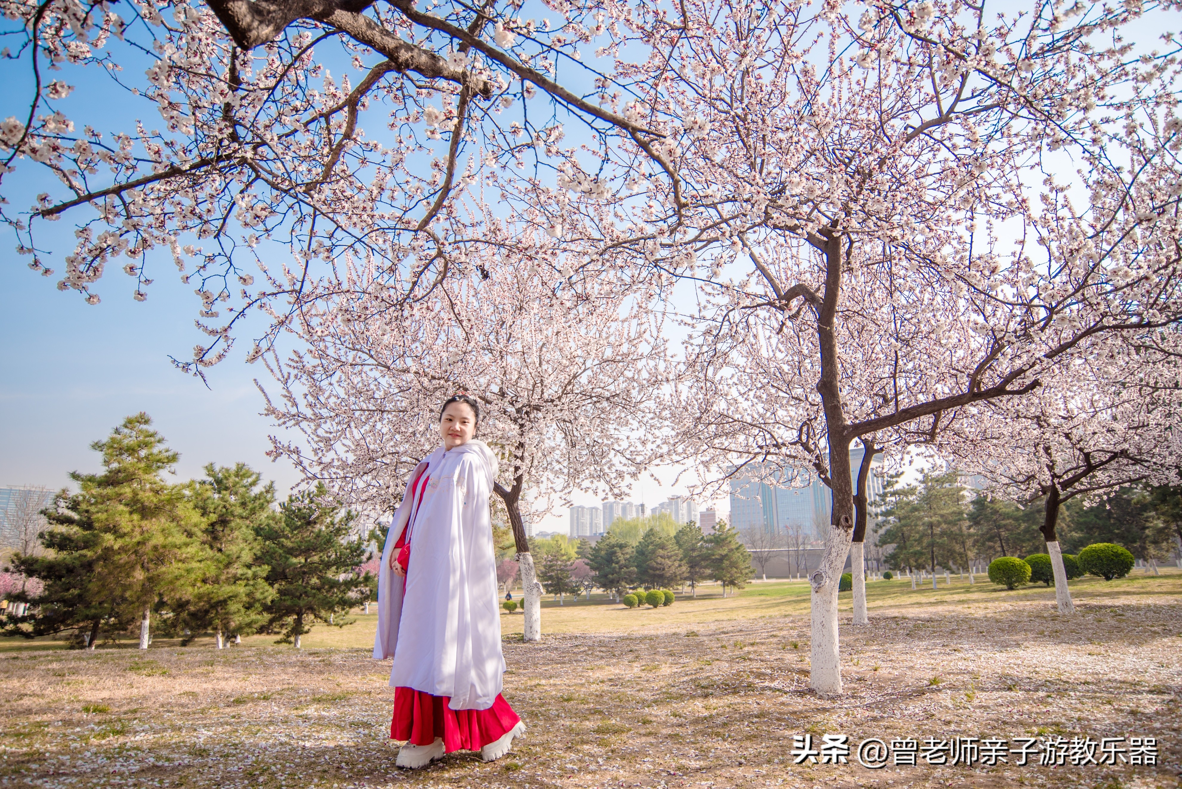 西安旅游攻略必去10个景点,西安旅游攻略必去景区