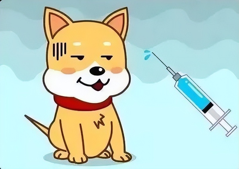 被小动物咬伤你会怎么做,被小动物咬伤怎么办呢