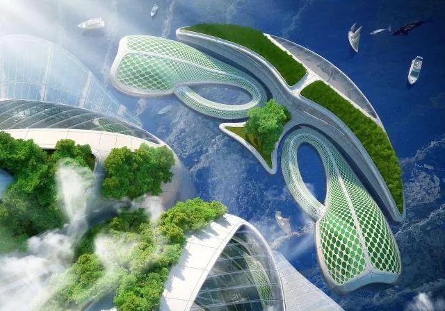 左右先生,左右先生的视频