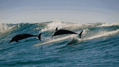 为人处世要注意社交细节：握手也是一门学问