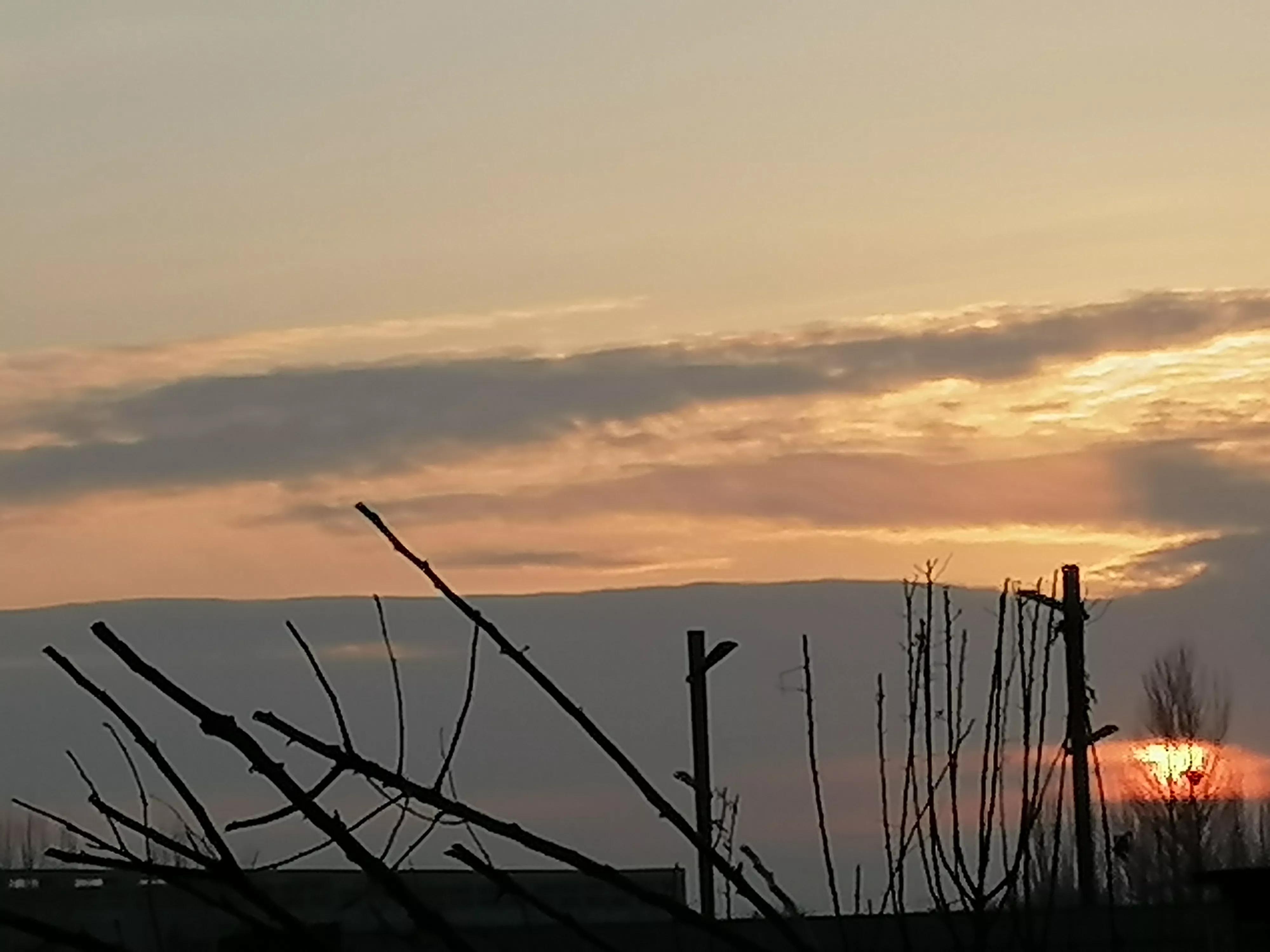 每日一分享学校,每日一校的分享