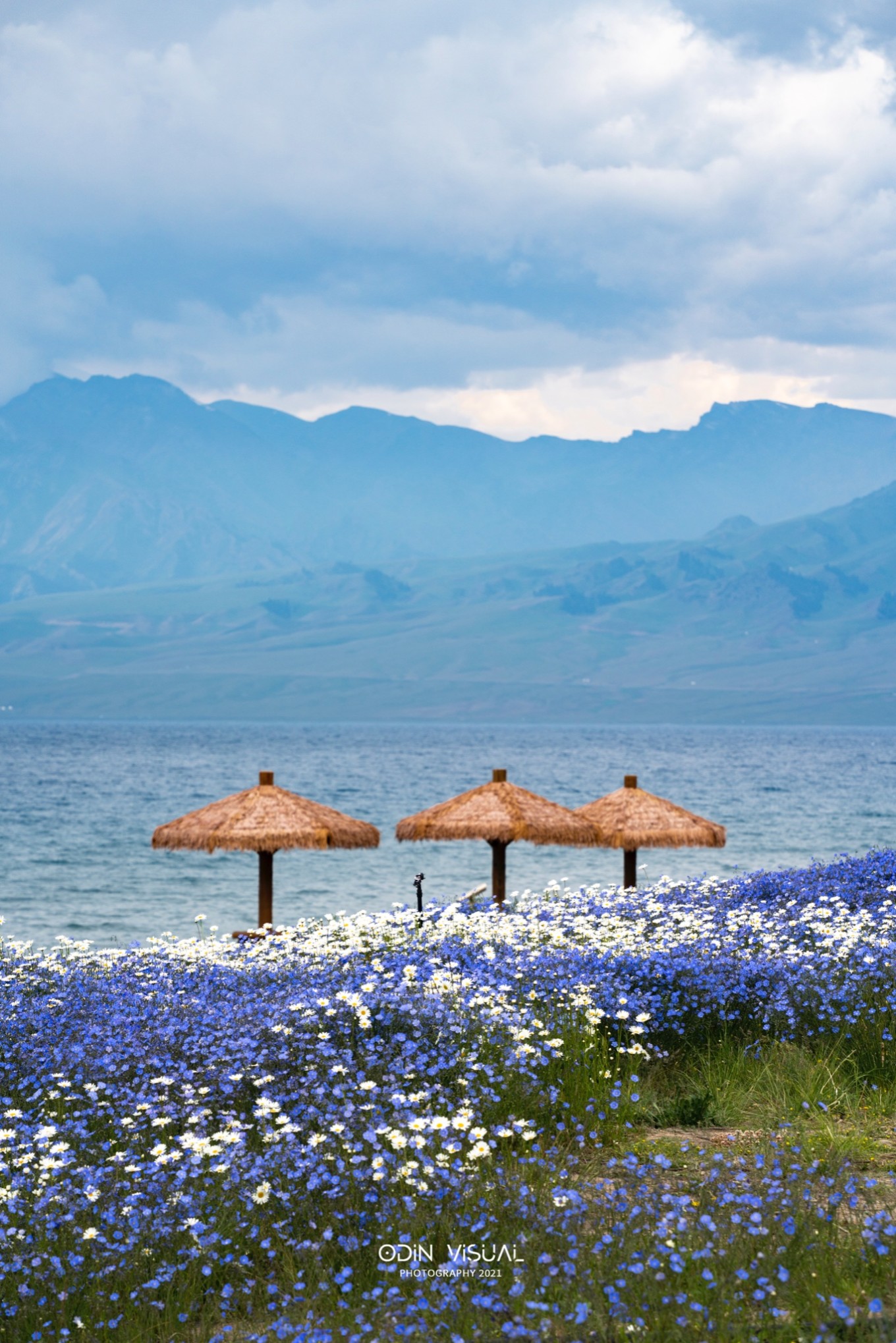 去新疆发现伊犁的美,世界之美尽在伊犁